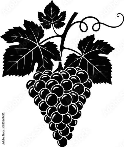 Black silhouette of grapes. Vector illustration of black silhouette of bunch of grapes with leaves. Transparent background EPS version.