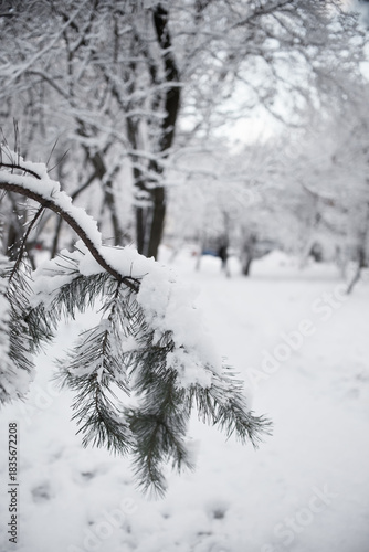 snowfall in the city, winter cityscape	