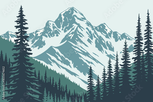 Snow-capped Mount Shasta surrounded by pine forest California