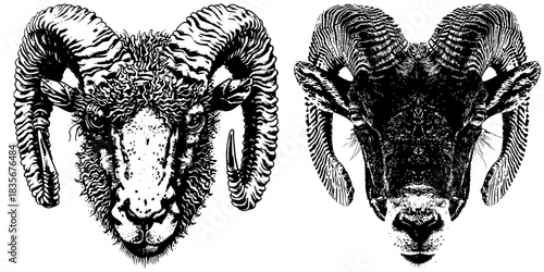 Vintage Ram and Mountain Sheep Heads, Retro Xerography Halftone Engraving Animal Portraits on Transparent Background