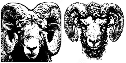 Vintage Ram Heads with Curved Horns, Retro Xerography Halftone Engraving Animal Set on Transparent Background