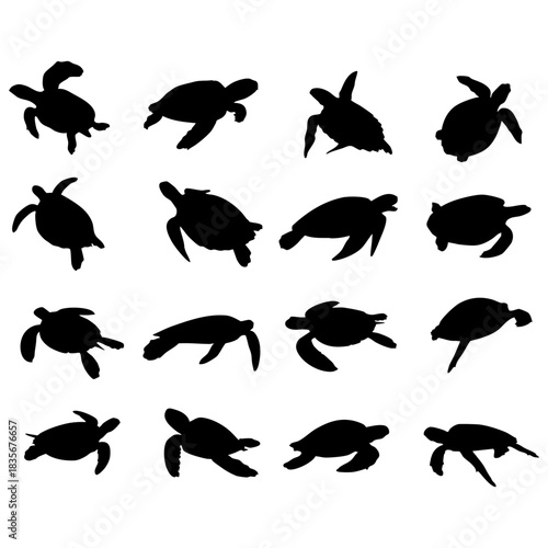 turtle swimming silhouette