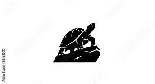 A solitary turtle silhouette poised atop a rugged rock.