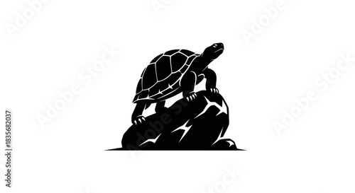 Silhouette of a Turtle on a Rock: A Symbol of Longevity.