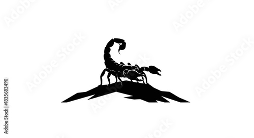Silhouette of a scorpion on a rock formation in black and white.