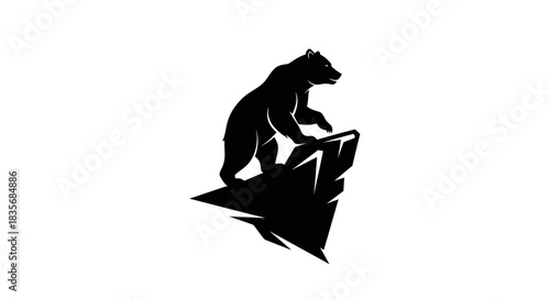 Silhouette of a Bear Standing on a Rocky Peak.