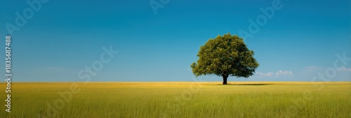 Lush Maple Tree in Open Field Under a Clear Blue Sky, Symbolizing Growth in the Countryside
