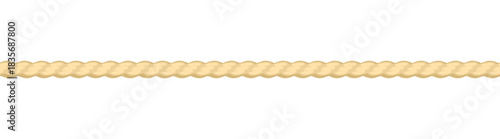 Seamless rope isolated on white background. Vector cartoon flat illustration.