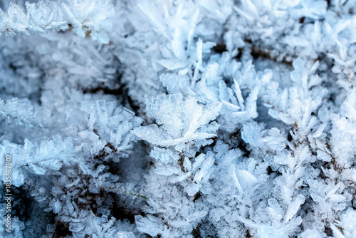 winter background with crystals of shiny snowflakes and hoarfrost in the morn...