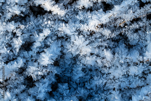 Holiday background with shiny crystals of cold transparent snowflakes and hoa...