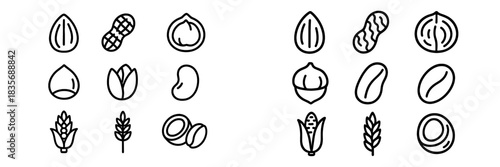 Essential food ingredients including nuts, seeds, grains, and common allergens