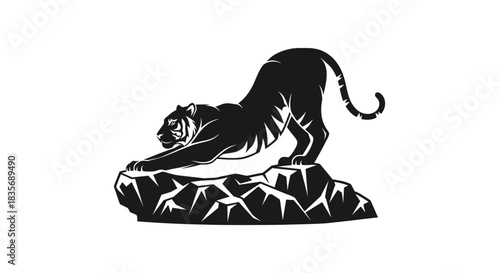 Majestic black tiger gracefully stretches on rocky terrain powerful pose.