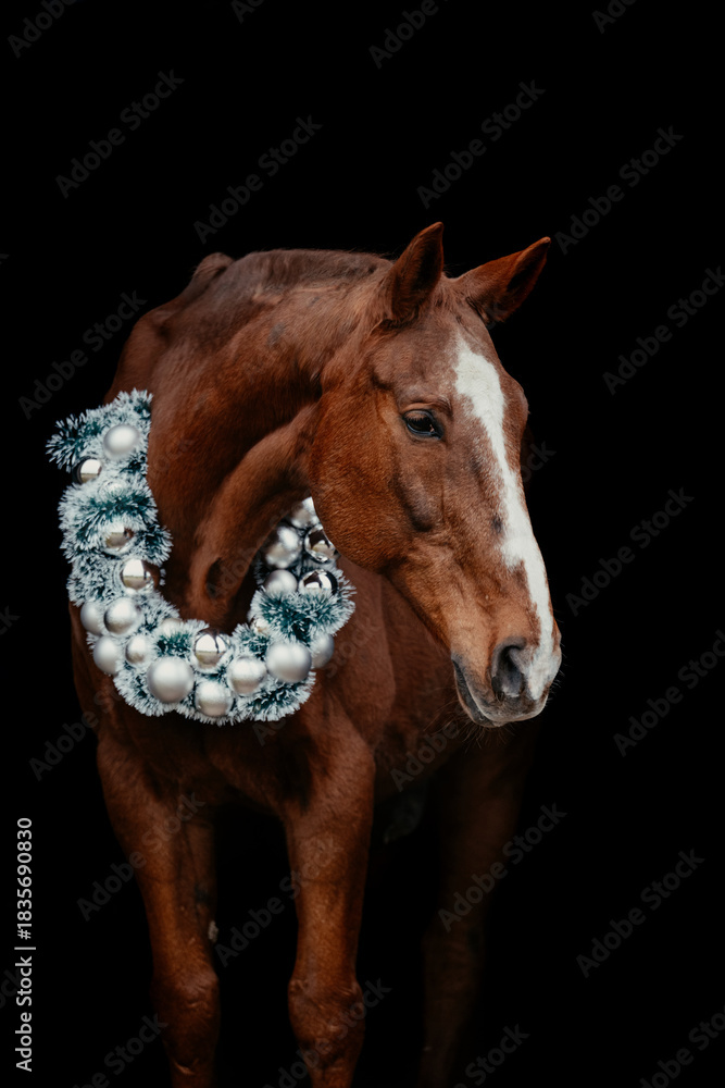 Obraz premium Weihnachtspferd