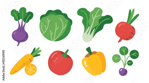 Fresh set of vegetables isolated on a white background