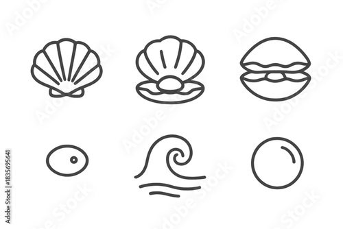 Clam Shell Icons. Line vector icons of Clam Shell Hidden: clam form, hinged shell, hidden fold, tiny sand grain, ripple curl, soft