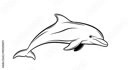 Graceful Dolphin Line Art Illustration Isolated on White Background.