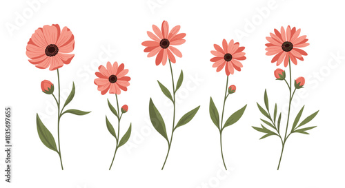Set of beautiful pink-red flowers with green leaves and stems illustrated in a charming textured style isolated on a white background.