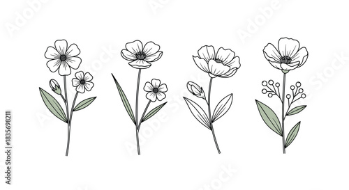 Elegant set of minimalist line art flowers with subtle green stems showcasing a delicate and modern botanical design.