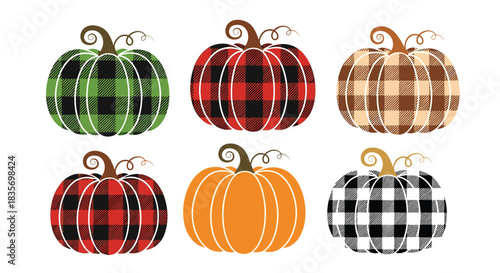 Festive collection of diverse pumpkins featuring classic orange designs and stylish plaid patterns for autumn decor.