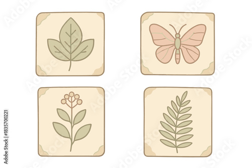 Natural History Specimens. Isometric vector illustration set Natural history documentation: parchment specimens, careful ink
