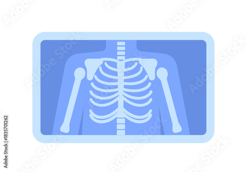 Flat style geometric x-ray of human chest bones.