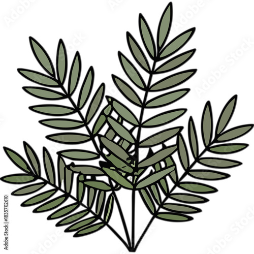 A cluster of deep green delicate fern leaves arranged in a fanning pattern against a stark black background showcasing intricate vein details and a simple illustrative style