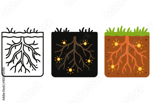Interconnected Roots and Nutrients. Soil cross-section, interconnected roots, glowing nutrient nodes, first in line style with