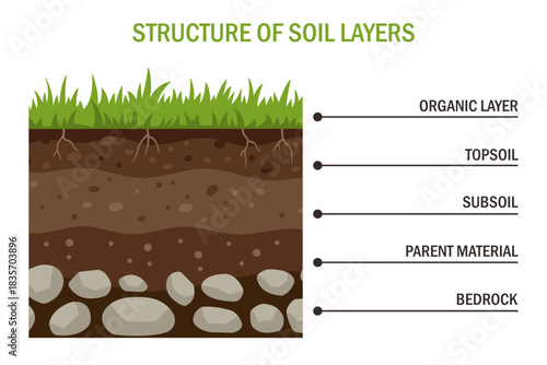 Educational illustration of layered soil structure, showing ground sections from topsoil to deeper layers. Ideal for textbooks, ecology materials, school projects, environmental science.