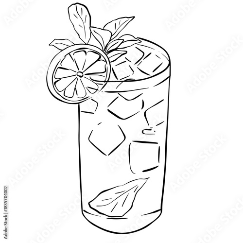 Hand Drawn Iced Cocktail Illustration with Lemon and Mint