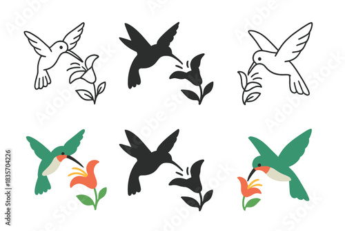 Hummingbird and Flowers. Hummingbird Flower Nectar, clean organic design showing nature’s balance between energy and delicacy,