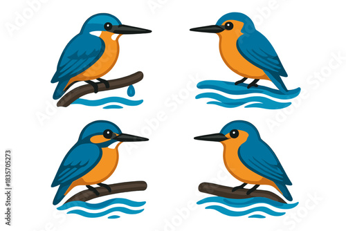 Kingfisher on Wet Branch. Icons for: a kingfisher perched on a wet branch, a vivid bird resting above moving blue, a sharp-eyed