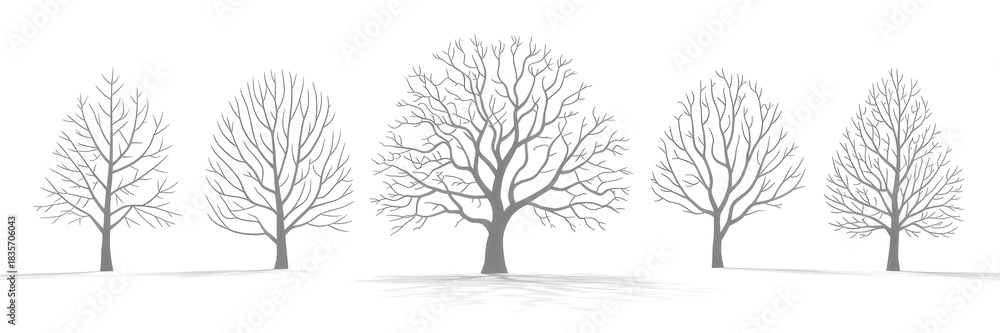 Fototapeta premium Winter various snowed trees isolated png on a transparent background premium cutout 