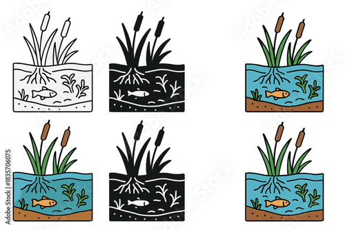 Wetland Ecosystem Cross-Section. Simplified cross-section of wetland ecosystem showing cattails, roots, and aquatic habitat layers
