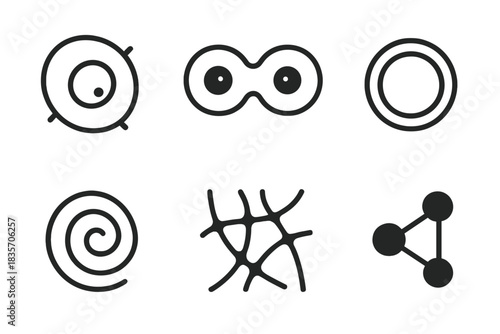 Cellular Harmony Icons. Line style icons of Cellular Harmony: single cell, dividing nucleus, membrane ring, cytoplasm swirl,