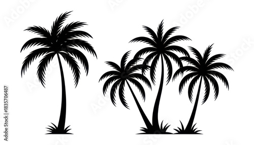 silhouette of palm trees 
