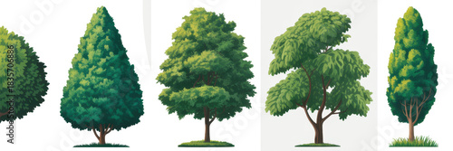 Watercolor green tree forest nature background. Garden landscape sketch park wood illustration. Set of summer spring foliage trees isolated on white 
