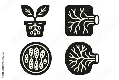 Botanical Replication Icons. Solid style icons of botanical replication: copied plant vessels in woodcuts, duplicated sap channels
