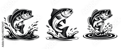 Bass fish leaping out of water, Bass fish silhouette, Hand-drawn bass fish emerging from splashing water with energetic movement, Vector illustration