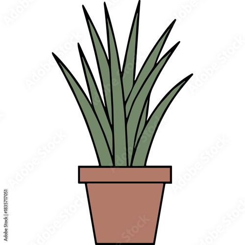 A simple illustration of a green potted plant with long slender leaves in a terracotta colored pot on a black background