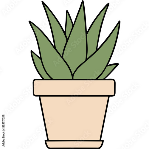 A Simple Illustration of a Green Potted Plant with Pointed Leaves in a Light Beige Pot Against a Black Background