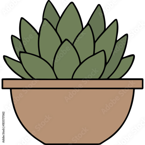 A Simple Illustration of a Green Succulent Plant in a Terracotta Pot Against a Black Background with Clean Lines and Minimalist Design