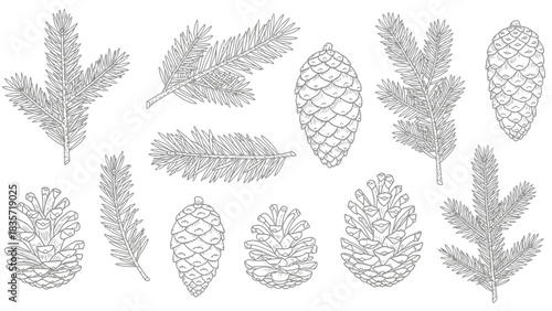 Elegant monochrome seamless pattern showcasing detailed pinecones and fir branches