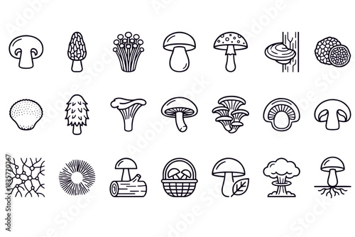mushroom icons black and white outline vector design 