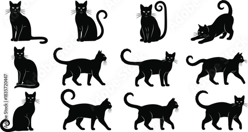 Black cat silhouette illustration set, sitting walking crouching pose, expressive tail design, feline animal icon, vector pet graphic collection