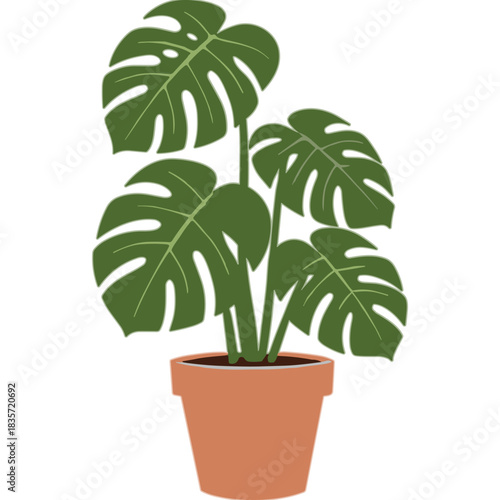 A Vibrant Green Monstera Plant in a Terracotta Pot Detailed Illustration with Large Split Leaves and a Simple Background Optimized for Design Projects