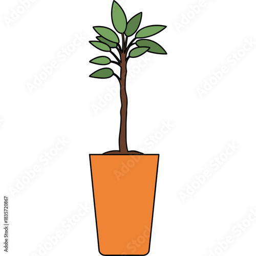A Young Green Leafed Plant Grows In A Simple Orange Pot Against A Pure Black Background Illustrating Growth And Simplicity