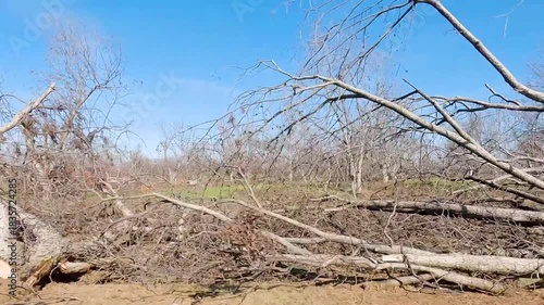 7-11 convenience store Hot dogs rotating on a grill