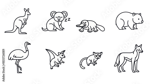 Charming minimalist line art showcasing iconic australian fauna in delightful simplicity