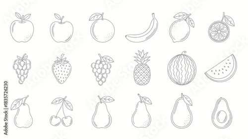Elegant Fruit Outline Collection: A Minimalist Graphic Resource with Diverse Tropical Flavors