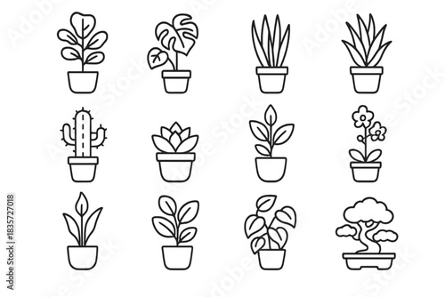 Indoor Plant Icons. Line style icons of Indoor Plants: Fiddle Leaf Fig, Monstera, Snake Plant, Cactus; Succulent, Aloe Vera, Peace